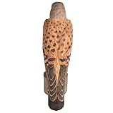 WILDLIFEGARDEN Wildlife Garden WG4470 DecoBird Turmfalke - Handgeschnitzter...