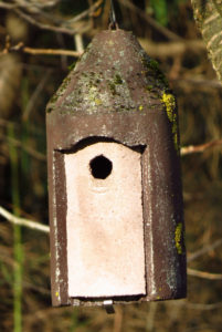 Nistkästen & Nisthöhlen aus Holzbeton: Nisthilfen ...