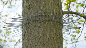 Katzenabwehrgürtel