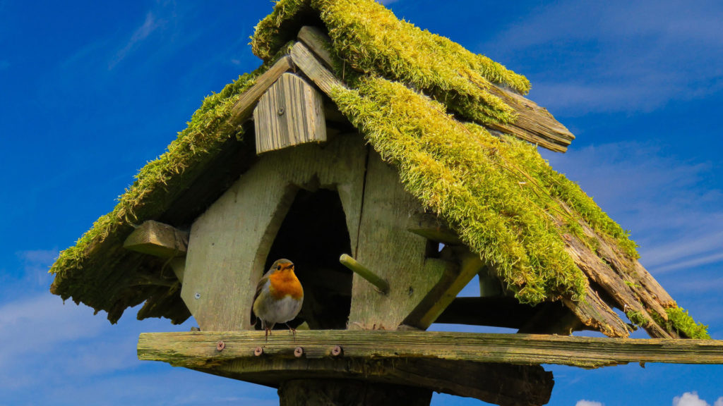 Vogelhaus Groß mit Ständer selber bauen
