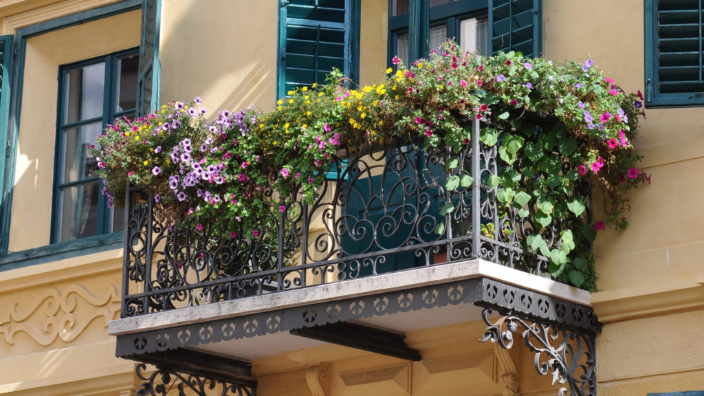 Balkon mit Blumen Vogelfreundlich