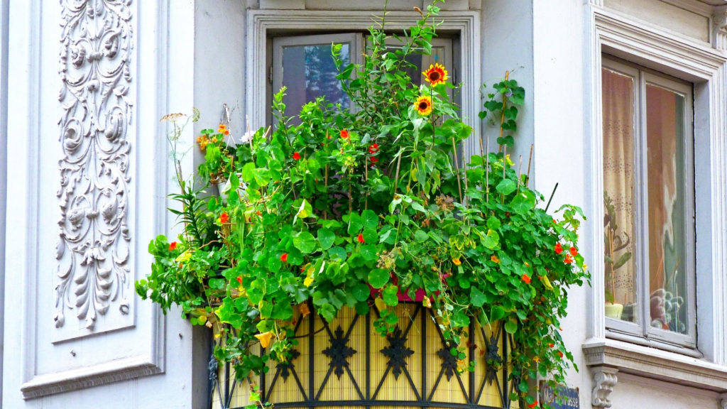 Balkon vogelfreundlich