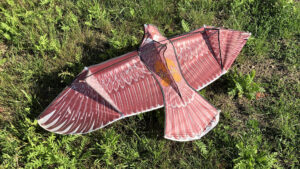Drachen Vogelabwehr Vogelschreck