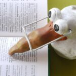 Die Sprache der Vögel: Wie Toshitaka Suzuki Grammatik und Bedeutung im Vogelsang aufgedeckt hat Sprache der Vögel